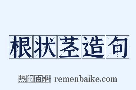 根状茎造句是什么意思的图片